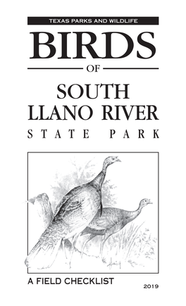 Birds of South Llano River State Park