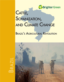 Brazil's Agricultural Revolution