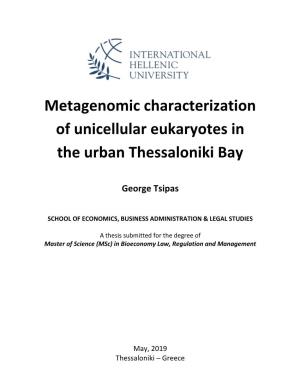 Metagenomic Characterization of Unicellular Eukaryotes in the Urban Thessaloniki Bay