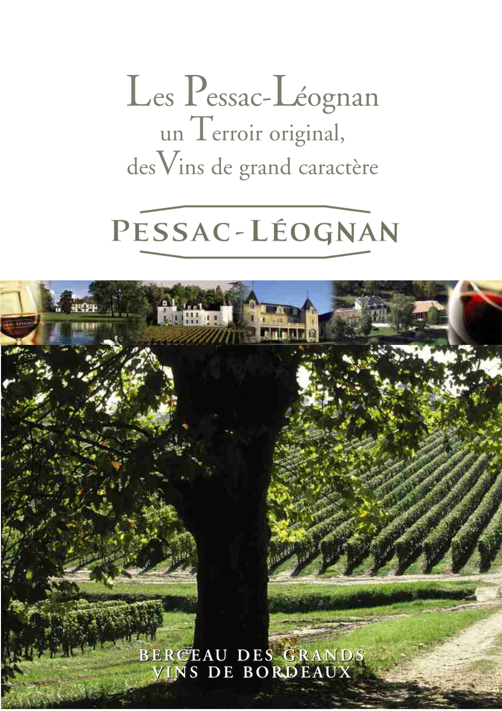 Un Terroir Original, Desvins De Grand Caractère