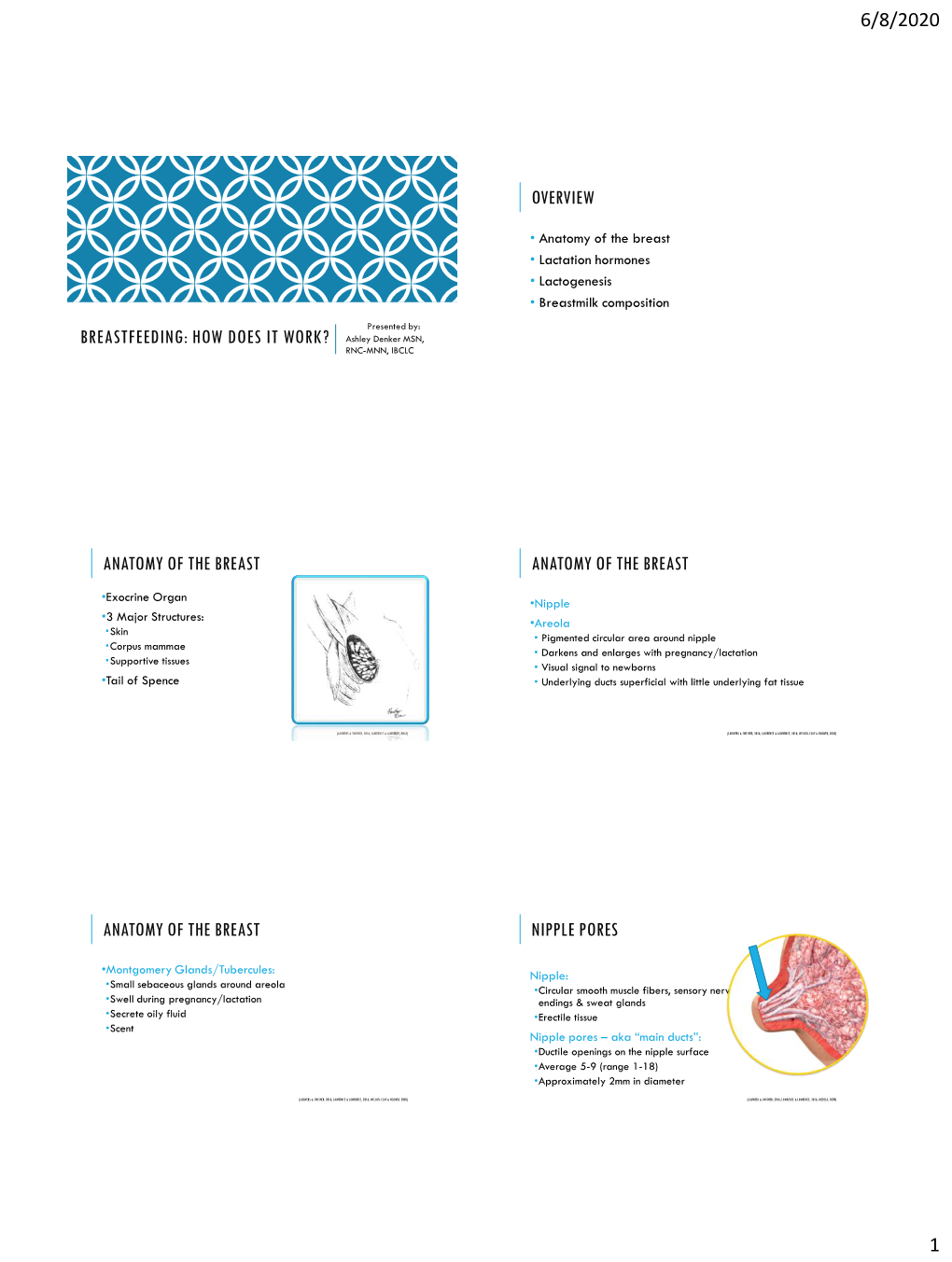 Key Components of Breastfeeding