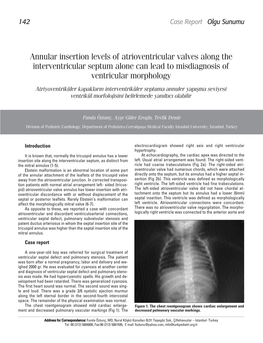 Annular Insertion Levels of Atrioventricular Valves Along The