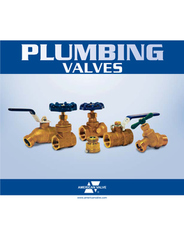 Plumbing Valves