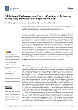Inhibition of Cyclooxygenase-2 Alters Craniofacial Patterning During Early Embryonic Development of Chick