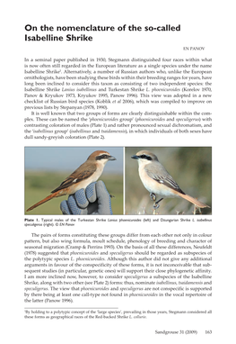 On the Nomenclature of the So-Called Isabelline Shrike EN Panov