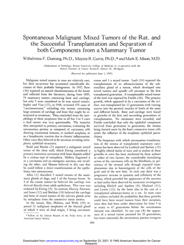Spontaneous Malignant Mixed Tumors of the Rat, and the Successful Transplantation and Separation of Both Components from a Mammary Tumor Wilhelmina F