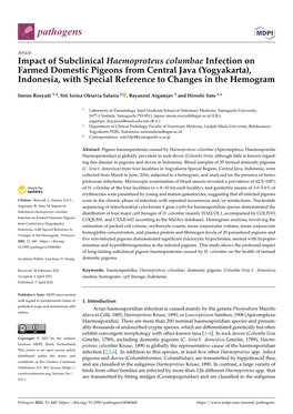 Impact of Subclinical Haemoproteus Columbae Infection on Farmed