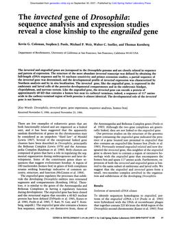 The Invected Gene of Drosophila: Sequence Analysis and Expression Studies Reveal a Close Kinship to the Engrailed Gene