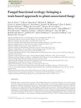 Bringing a Trait‐Based Approach to Plant‐Associated Fungi