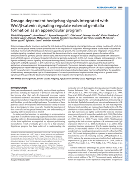 Catenin Signaling Regulate External Genitalia Formation As an Appendic