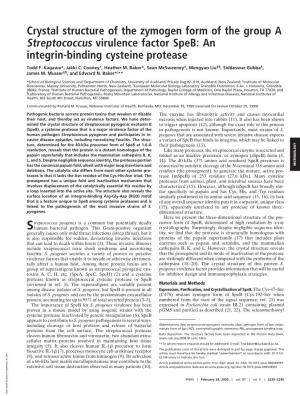 Crystal Structure of the Zymogen Form of the Group a Streptococcus Virulence Factor Speb: an Integrin-Binding Cysteine Protease