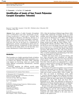 Identification of Tenuis of Four French Polynesian Carapini (Carapidae