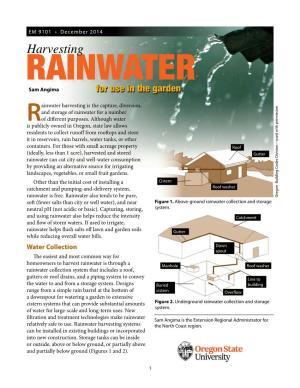 Harvesting Rainwater for Use in the Garden