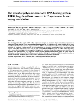 The Essential Polysome-Associated RNA-Binding Protein RBP42 Targets Mrnas Involved in Trypanosoma Brucei Energy Metabolism
