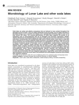Microbiology of Lonar Lake and Other Soda Lakes