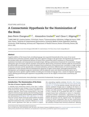 A Connectomic Hypothesis for the Hominization of the Brain