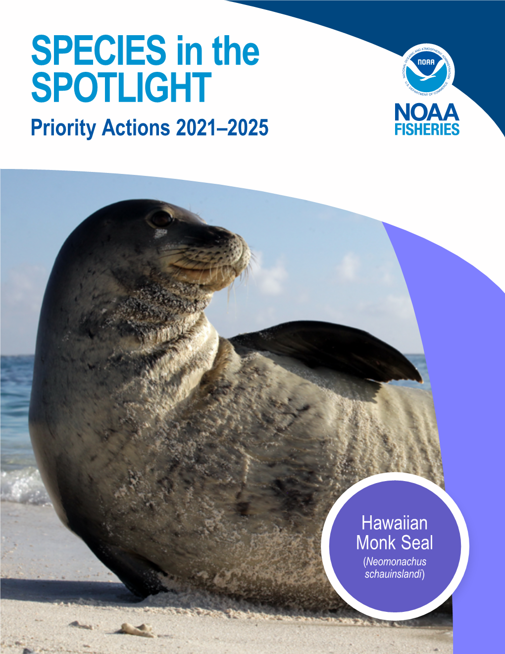 Species in the Spotlight—Hawaiian Monk Seal