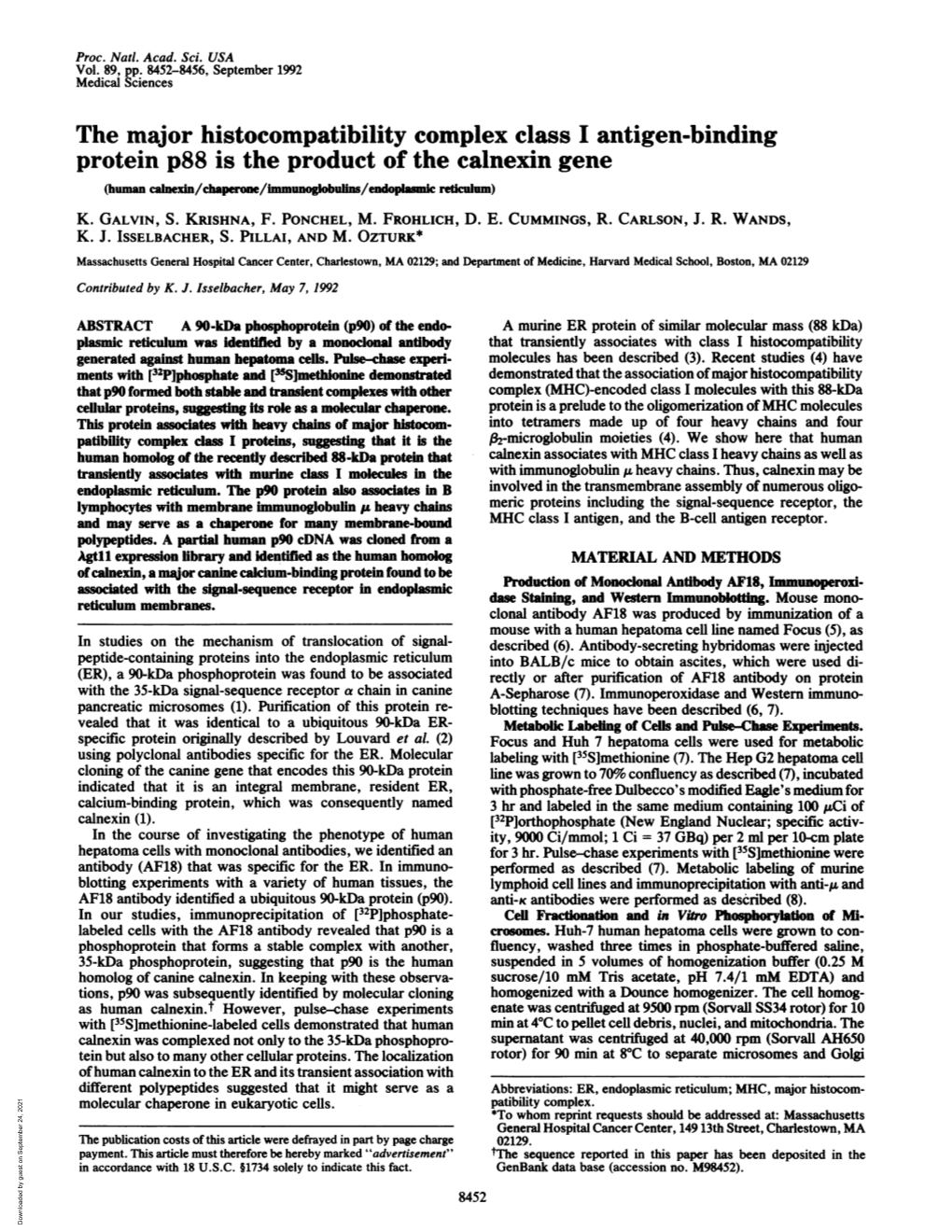 The Major Histocompatibility Complex Class I Antigen-Binding Protein P88