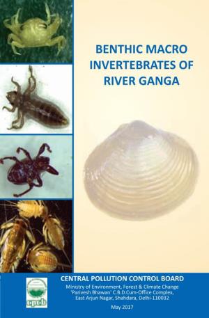 Benthic Macro-Invertebrates of River Ganga