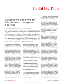 Evaluating Evolutionary Models of Stress-Induced Mutagenesis in Bacteria