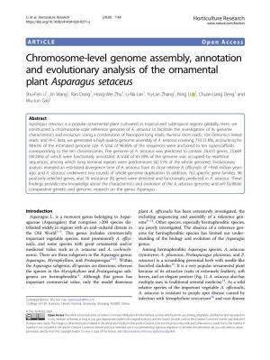 Chromosome-Level Genome Assembly, Annotation and Evolutionary