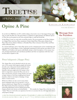 Opine a Pine VOLUME 3 ISSUE 1