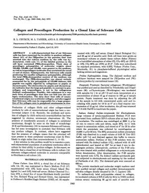 Collagen and Procollagen Production by a Clonal Line of Schwann Cells (Peripheral Neurinoma/Acrylamide Gel Electrophoresis/S100 Protein/Myelin Basic Protein)