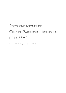 Recomendaciones Del Club De Patología Urológica De La SEAP