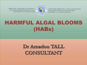 Red Tides & Harmful Algal Blooms