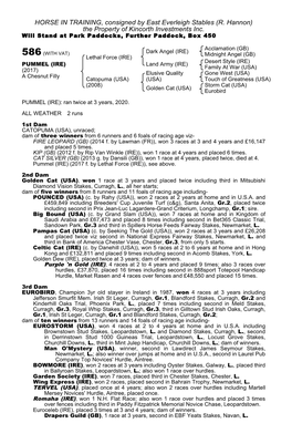 (R. Hannon) the Property of Kincorth Investments Inc. Will Stand at Park Paddocks, Further Paddock, Box 450