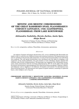 Mitotic and Meiotic Chromosomes of the Great Ramshorn Snail Planorbarius Corneus (Linnaeus, 1758) (Gastropoda, Planorbidae) from Lake Kortowskie