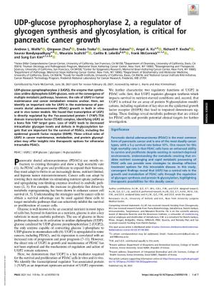 UDP-Glucose Pyrophosphorylase 2, a Regulator of Glycogen Synthesis and Glycosylation, Is Critical for Pancreatic Cancer Growth