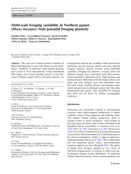 Multi-Scale Foraging Variability in Northern Gannet (Morus Bassanus) Fuels Potential Foraging Plasticity