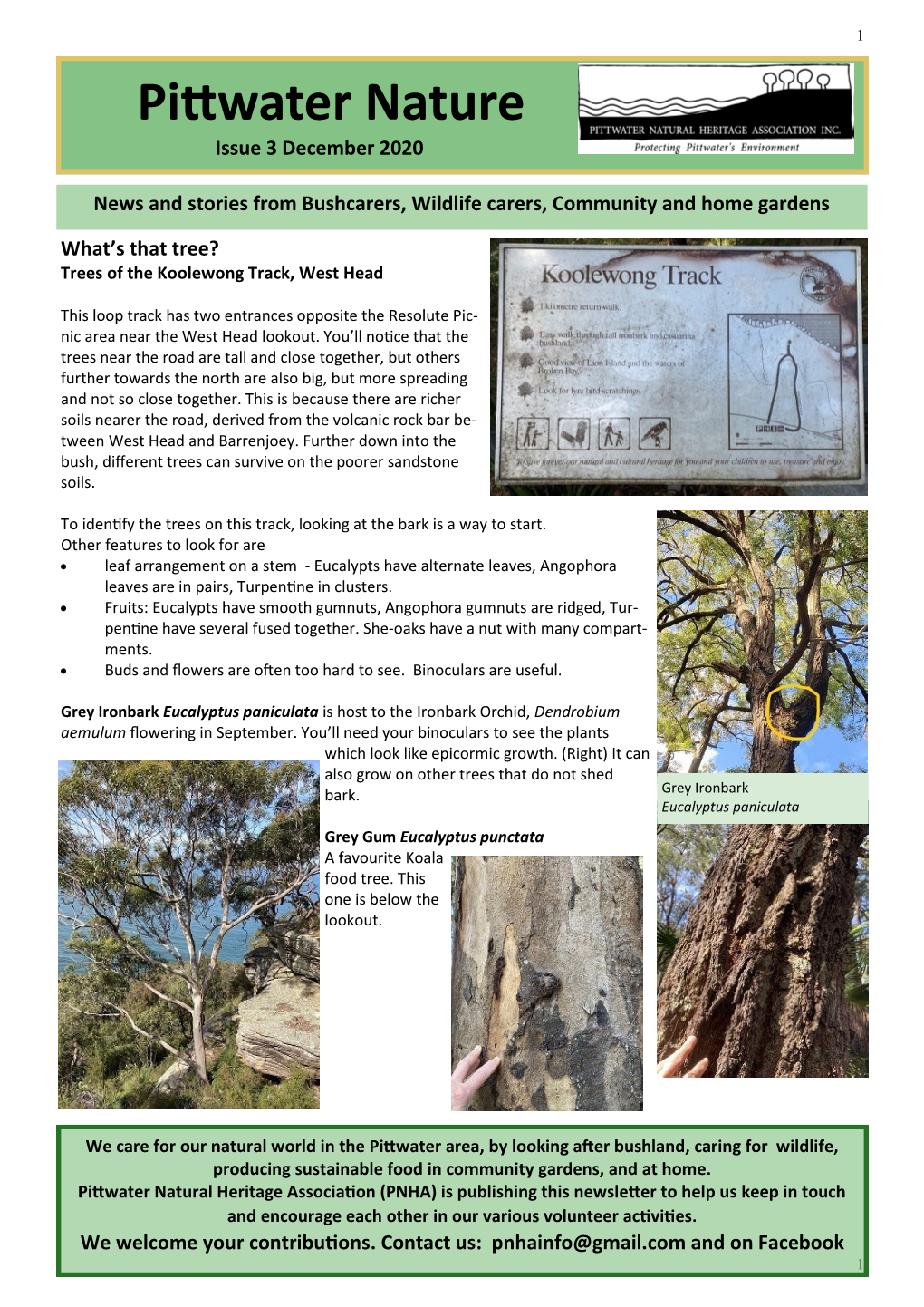 Pittwater Nature Issue 3 December 2020