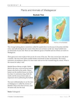 Plants and Animals of Madagascar