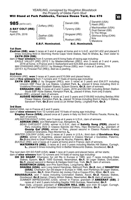 YEARLING, Consigned by Houghton Bloodstock the Property of Glebe Farm Stud Will Stand at Park Paddocks, Terrace House Yard, Box 676