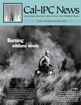 Burning Wildland Weeds