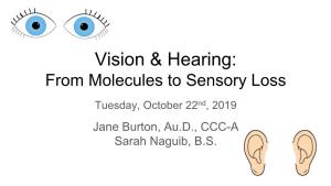 Vision & Hearing