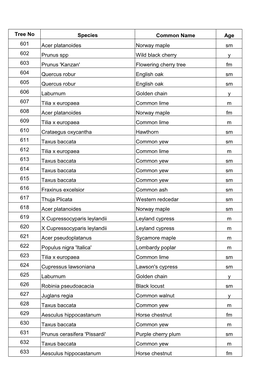 Tree No Species Common Name Age 601 Acer Platanoides Norway