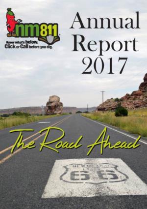 NM811 Annual Report 2017