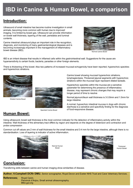 IBD in Canine & Human Bowel, a Comparison