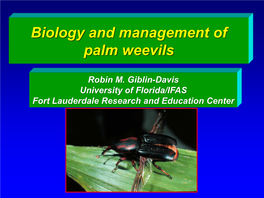 Biology and Management of Palm Weevils