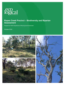 Ropes Creek Precinct – Biodiversity and Riparian Assessment