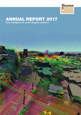 ANNUAL REPORT 2017 Geo-Intelligence & Asset Integrity Solutions