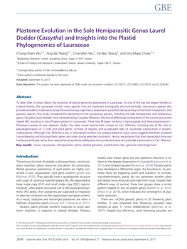 Cassytha) and Insights Into the Plastid Phylogenomics of Lauraceae