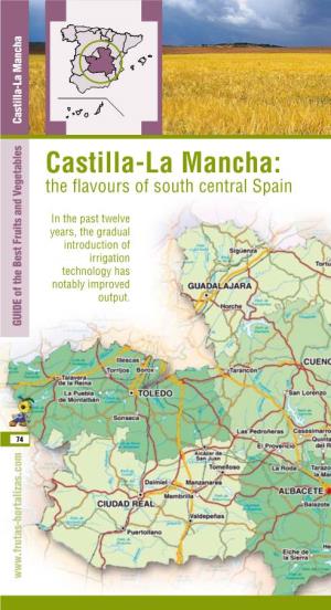 Castilla-La Mancha: the Flavours of South Central Spain