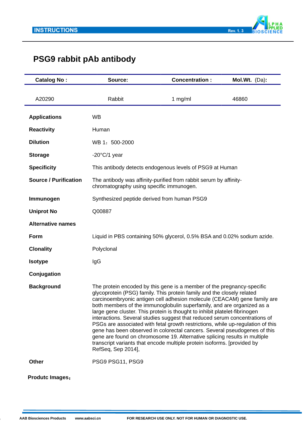 PSG9 Rabbit Pab Antibody