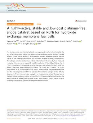 A Highly-Active, Stable and Low-Cost Platinum-Free Anode Catalyst Based on Runi for Hydroxide Exchange Membrane Fuel Cells