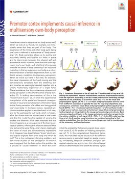 Premotor Cortex Implements Causal Inference in Multisensory Own-Body