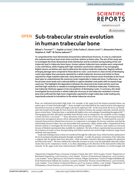 Sub-Trabecular Strain Evolution in Human Trabecular Bone